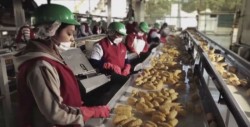 Debe fortalecerse el Servicio Nacional del Empleo con AMLO
