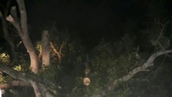 Vientos tipo “Tornado” afectan Escuinapa