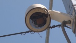 Muy pobres resultados, considerando millonaria inversión en seguridad: CDDH