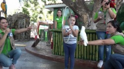 Listo Acuario para realizar su “Campamento de verano”