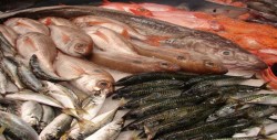 Consumo de pescado en Latinoamérica subirá un 33 % para el 2030, según FAO