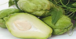 Científicos mexicanos desarrollan extracto contra el cáncer