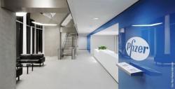 Pfizer se reorganizará en tres áreas de negocio a principios de 2019