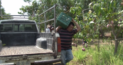 AARP a favor de nuevo Secretario de Agricultura