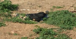 Asesinan a  tres  más en Culiacán