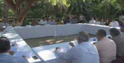 Firman pacto por los árboles de Culiacán