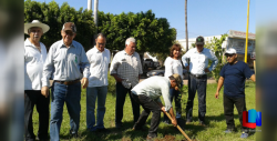 Celebran el Día Mundial del Árbol sembrando varios de ellos