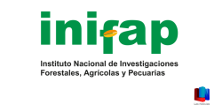 Se conjura la huelga entre el Sindicato Independiente del INIFAP y autoridades