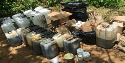 Militares aseguran goma de Opio y centro de acopio en Badiraguato