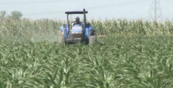 Hay disposición de la Secretaria de Agricultura para gestión de recursos