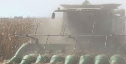 Productores Agrícolas prepararán proyecto de presupuesto