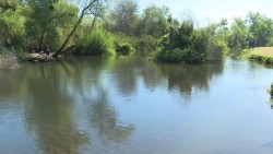 Piden que se de seguimiento al caso de posible contaminación del río fuerte