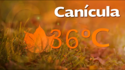 Se dejan sentir efectos de la “Canícula”