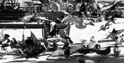 Convoca el ISIC a Bienal  de Fotoperiodismo Sinaloa 2018