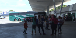 Se vive fuerte actividad en la Central Camionera de Mazatlán