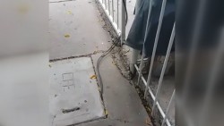 Reportan cables caídos en varios sectores