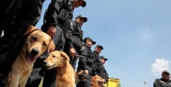 K9, la unidad canina que da protección en las peligrosas cárceles mexicanas