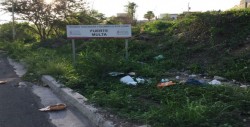 Basura regada por un buen tramo de lotes baldíos