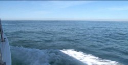 Convertir al Mar de Cortés en área protegida perjudicaría producción pesquera: Humberto Becerra