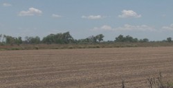 Revisarán presupuesto para Agricultura en Sinaloa