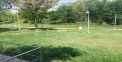 Crece maleza en Parque Las Riberas