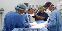 Donación multiorgánica en Querétaro beneficia a cinco niños
