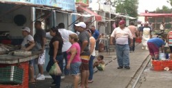 Repunta la venta de pescado en embarcadero de la isla de la piedra