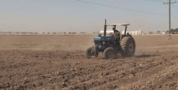 Atiende la Procuraduría Agraria en Sinaloa, varios asuntos por conflicto de tierras