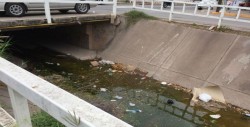 Con basura y agua estancada arroyo por la Constelaciones