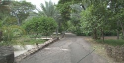 El Jardín Botánico de Culiacán reúne distintos ecosistemas en un solo lugar