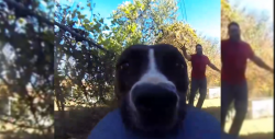 Esta perrita robándose una GoPro te robará el corazón