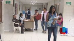 En la región del Mayo no se contabilizan casos de dengue