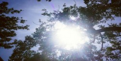 Exhortan a la población de cuidarse de padecimientos por altas temperaturas