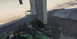 Poste a punto de caer en la colonia PEMEX