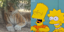 Hombre llama a la policía porque un tigre de peluche lo asustó
