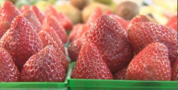 Fresas con crema un postre que mitiga el calor en Culiacán