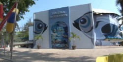 Reapertura atractivo Acuario Mazatlán