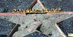 Removerán la estrella de Donald Trump del Paseo de la Fama