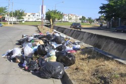 Recolección de basura al 98%: Servicios Públicos