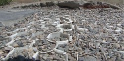 Ya se deslavó malla de plástico en la vereda que sube al Faro