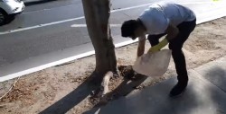 El 'basura challenge', el reto que sí vale la pena hacer