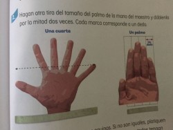 Los errores más visibles del libro de texto gratuito de la SEP