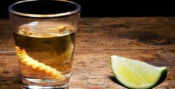 Aguascalientes, nuevo origen oficial del mezcal