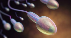 La producción de espermatozoides puede ser alterada gracias a tu ropa interior