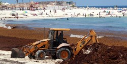 Crisis del sargazo, plaga que puede alterar la llegada de turistas a México