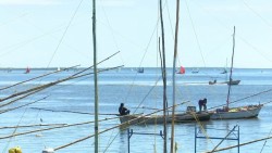 Es tiempo de estar unidos: pescadores