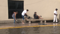 Turistas viven en Mazatlán, una nueva experiencia...