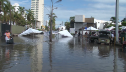 Duermen bajo la lluvia y la inundación, pescadores mazatlecos