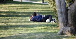 Nueva ley permite que parejas tengan relaciones sexuales en vía pública