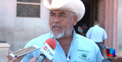 No hay decomiso de autos "chocolate" en Obregón